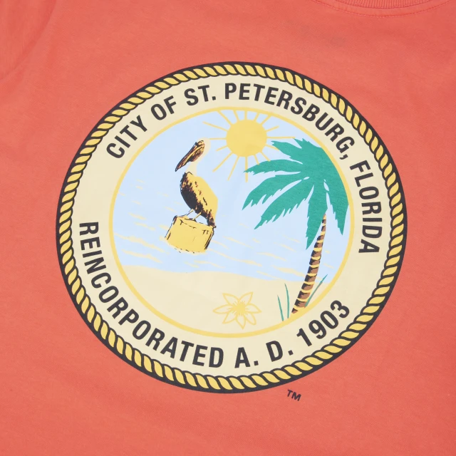 Camiseta Slim Manga Curta Tampa Bay Rays Have Fun Breeze