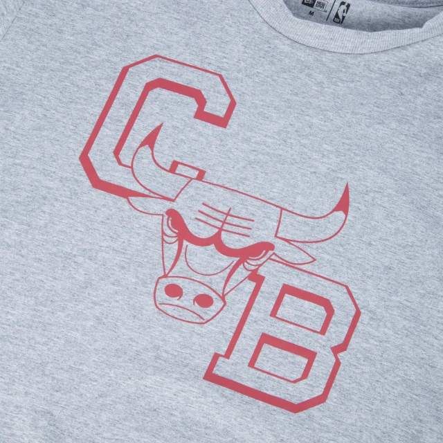 Camiseta Slim Chicago Bulls NBA Core