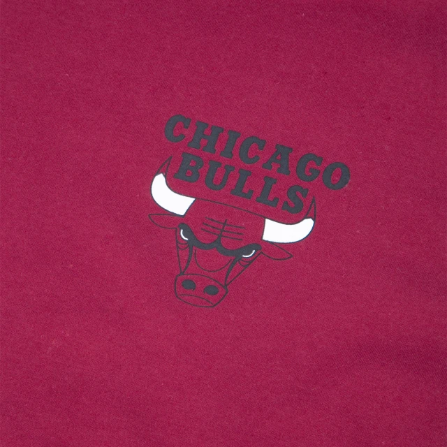 Camiseta Chicago Bulls NBA Modern Classic