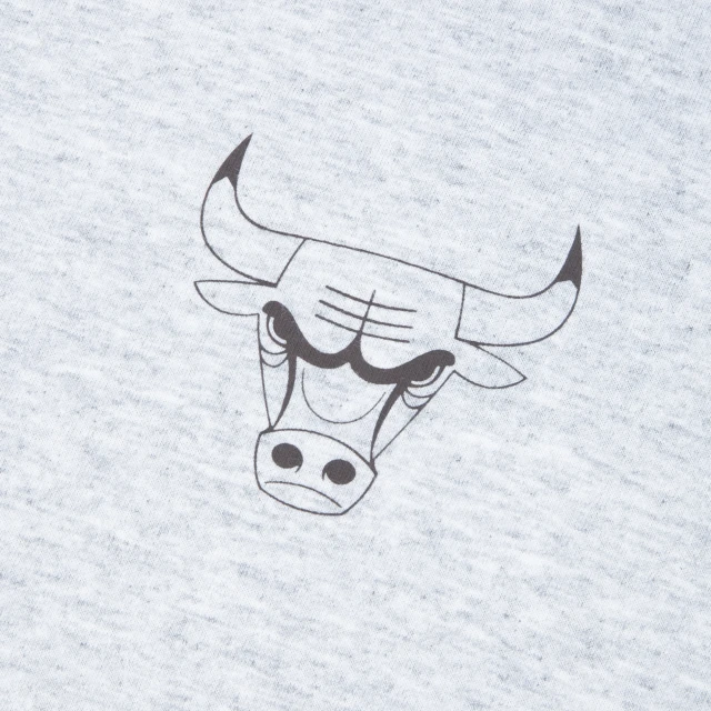 Camiseta Chicago Bulls NBA Neutral Wild