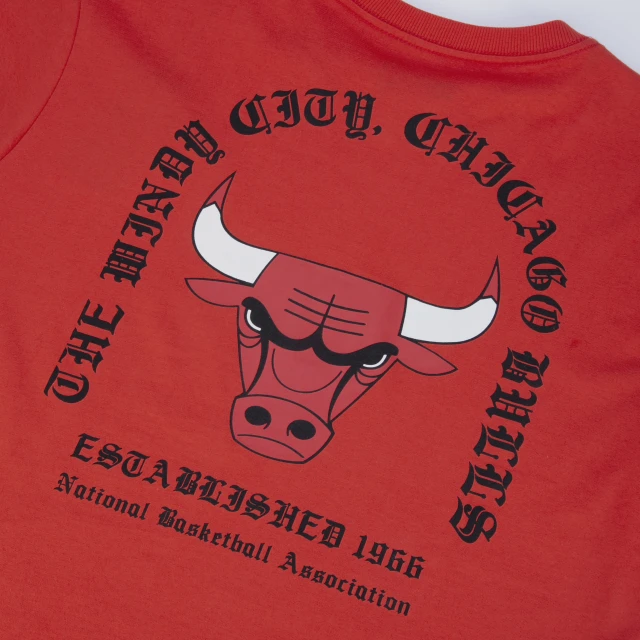 Camiseta Chicago Bulls NBA Street