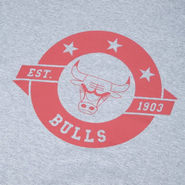 Camiseta Chicago Bulls NBA Energy Spirit
