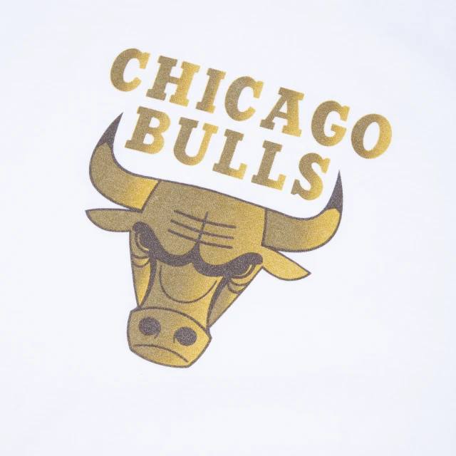 Camiseta Gold Chicago Bulls China Vibes