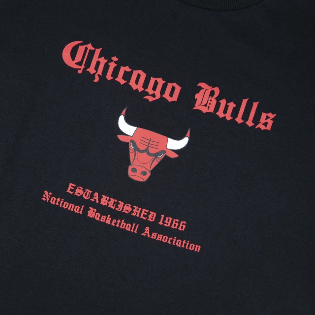 Camiseta Feminina Chicago Bulls NBA Street