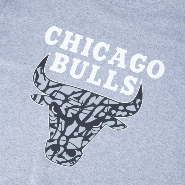 Camiseta Regular NBA Chicago Bulls Core Manga Curta