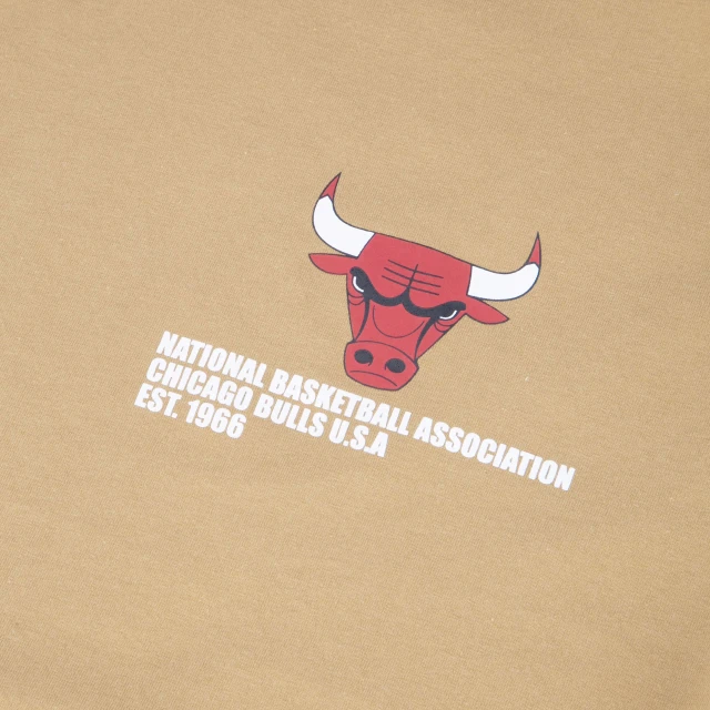 Camiseta Regular NBA Chicago Bulls Offline Survivor Manga Curta