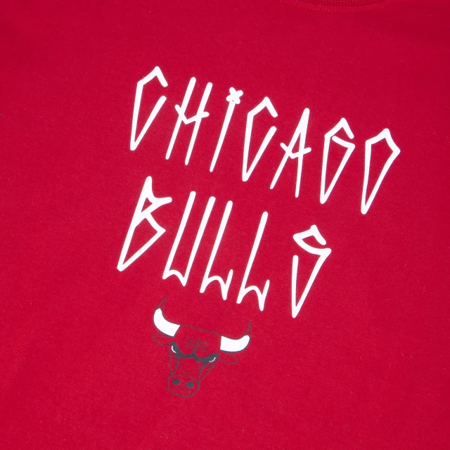 Camiseta Feminina Regular NBA Chicago Bulls  Manga Curta