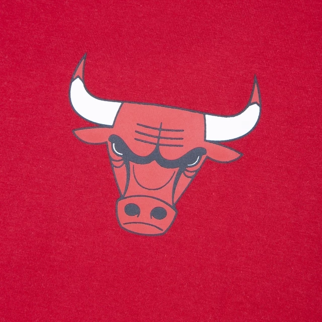 Camiseta Regular Chicago Bulls Core NBA