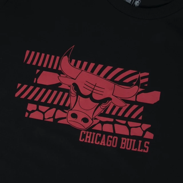 Camiseta Regular Chicago Bulls All Sport Art