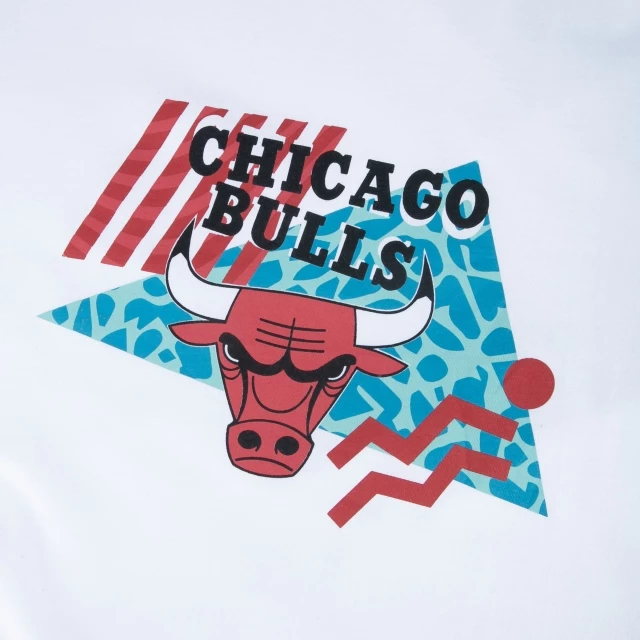 Camiseta Regular Chicago Bulls All Sport Art