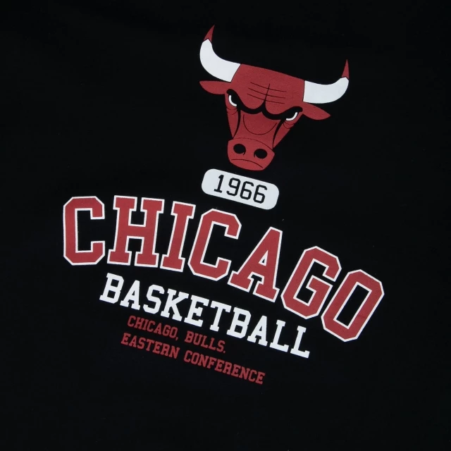 Camiseta Plus Size Regular Chicago Bulls