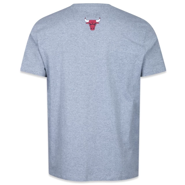 Camiseta Regular NBA Chicago Bulls Core