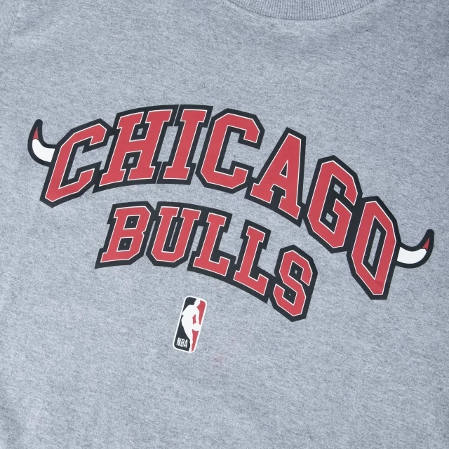 Camiseta Regular NBA Chicago Bulls Core