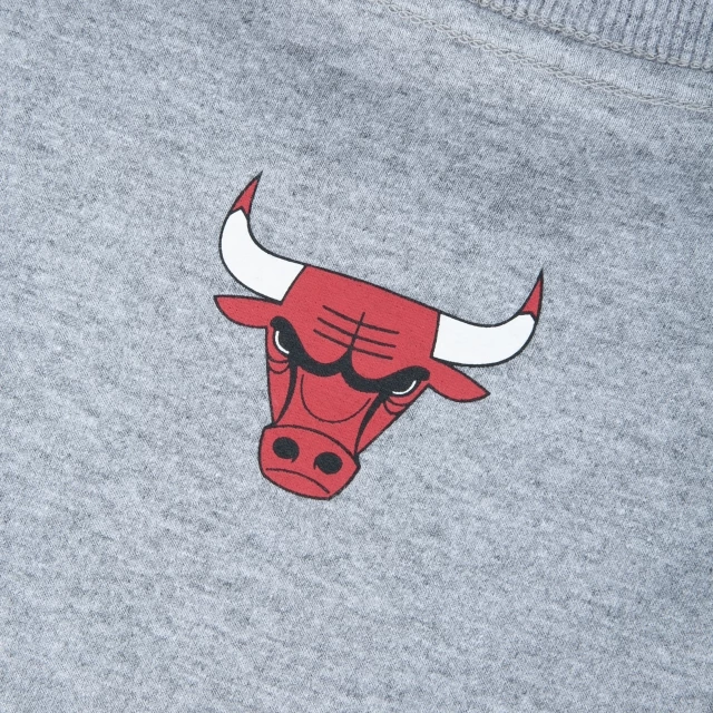 Camiseta Regular NBA Chicago Bulls Core