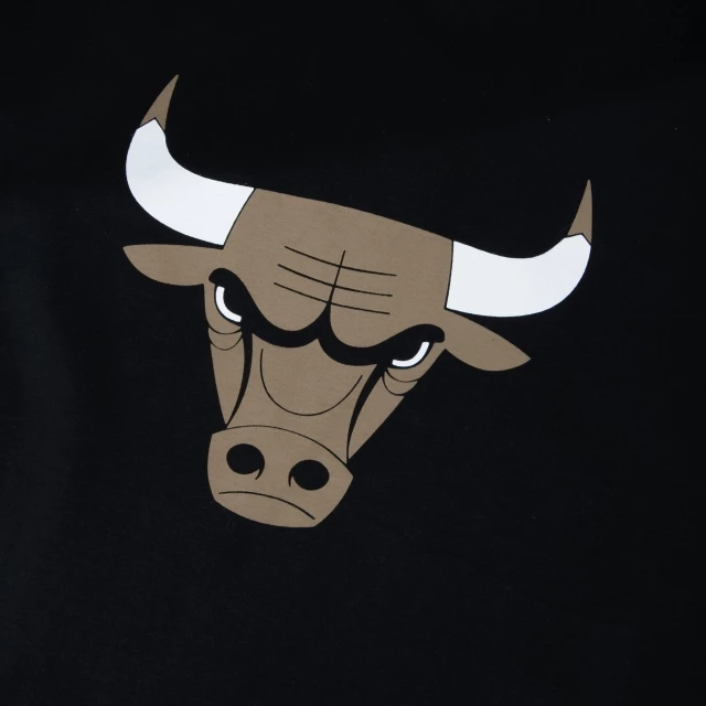 Camiseta Regular NBA Chicago Bulls Core