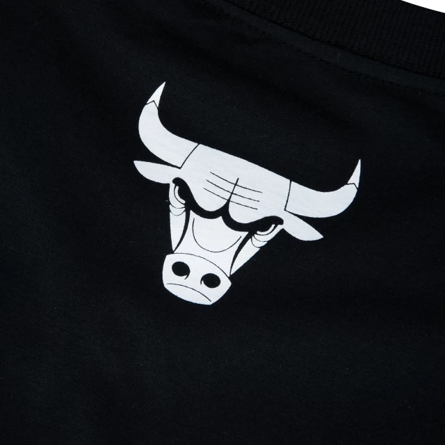 Camiseta Regular NBA Chicago Bulls Core