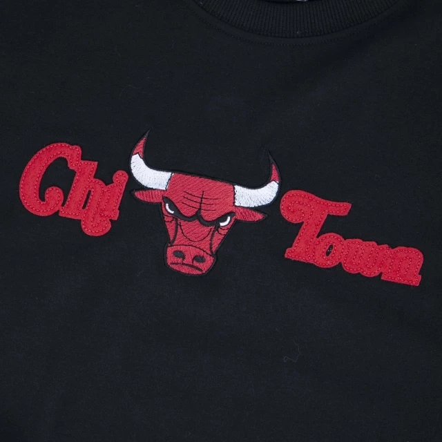 Camiseta NBA Chicago Bulls Core