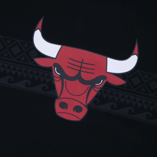 Camiseta NBA Chicago Bulls Cultural Remixes