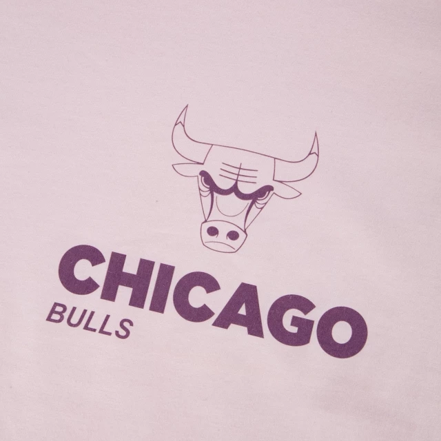 Camiseta Regular NBA Chicago Bulls Core Essentials Style