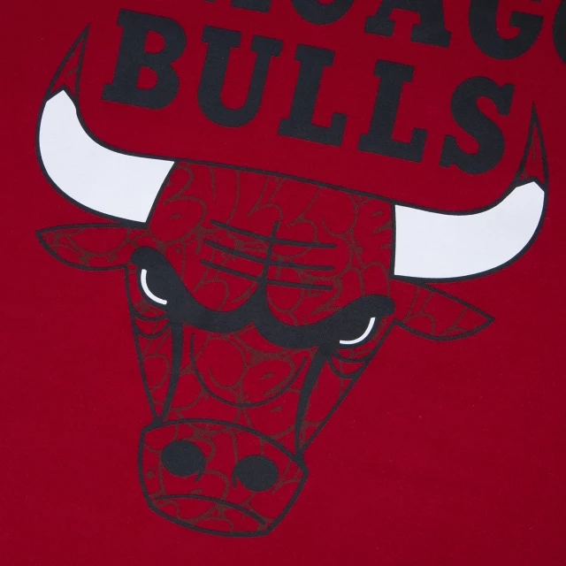 Camiseta Regular NBA Chicago Bulls World Of Logos