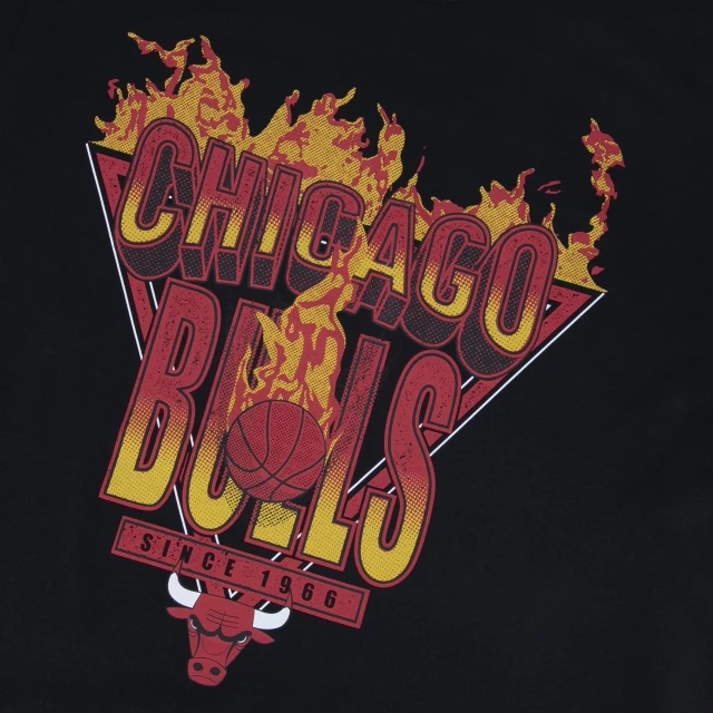 Camiseta Regular NBA Chicago Bulls Core