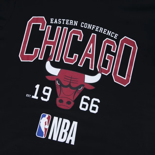 Camiseta Regular NBA Chicago Bulls Sport