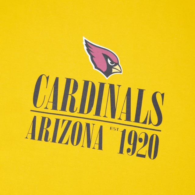 Camiseta Regular NFL Arizona Cardinals Core Manga Curta