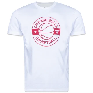 Camiseta Chicago Bulls NBA Core
