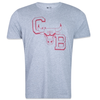 Camiseta Slim Chicago Bulls NBA Core