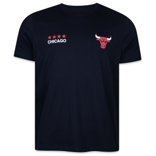 Camiseta Regular Chicago Bulls Action Winter Sports