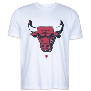 Camiseta Regular NBA Chicago Bulls Core