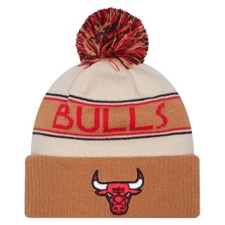 Gorro Chicago Bulls All-Star Game 2025 Fan Pack