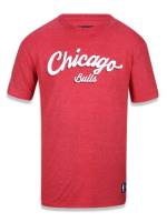 Camiseta Chicago Bulls NBA