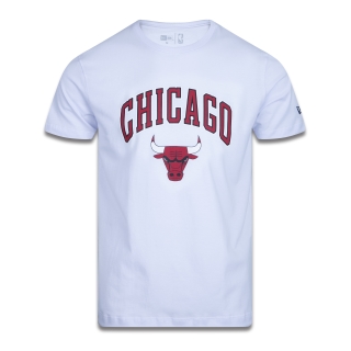 Camiseta Feminina Regular Manga Curta Chicago Bulls Team 70s