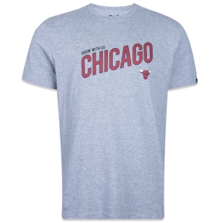 Camiseta Regular NBA Chicago Bulls Core Manga Curta Cinza