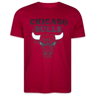 Camiseta Regular NBA Chicago Bulls World Of Logos