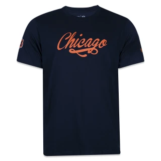 Camiseta Regular Manga Curta Chicago Bears Core Go Team