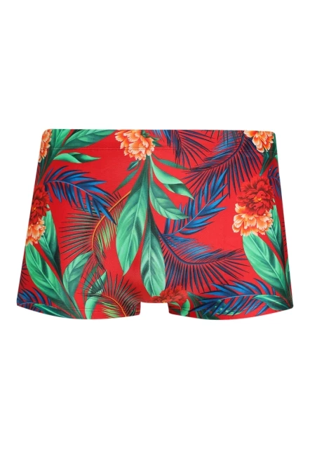 SUNGA BOXER ESTAMPADA TIJUCA HW LYGIA E NANNY