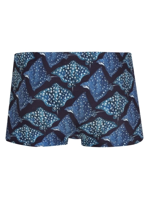 SUNGA BOXER TIJUCA ESTAMPADA LYGIA E NANNY